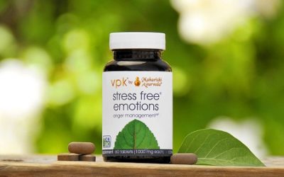 Пристальный взгляд на «Эмоции без стресса»