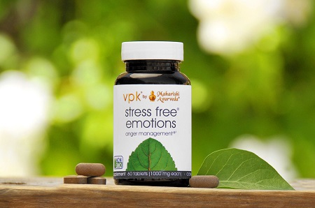 Пристальный взгляд на «Эмоции без стресса»