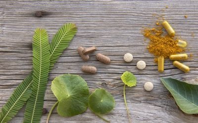 Баланс через синергию: главное отличие Аюрведы Махариши