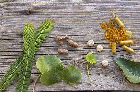 Баланс через синергию: главное отличие Аюрведы Махариши