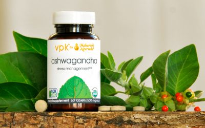 Ашвагандха — аюрведический адаптоген