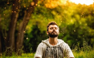 Связь Махариши Аюрведы и Трансцендентальной Медитации