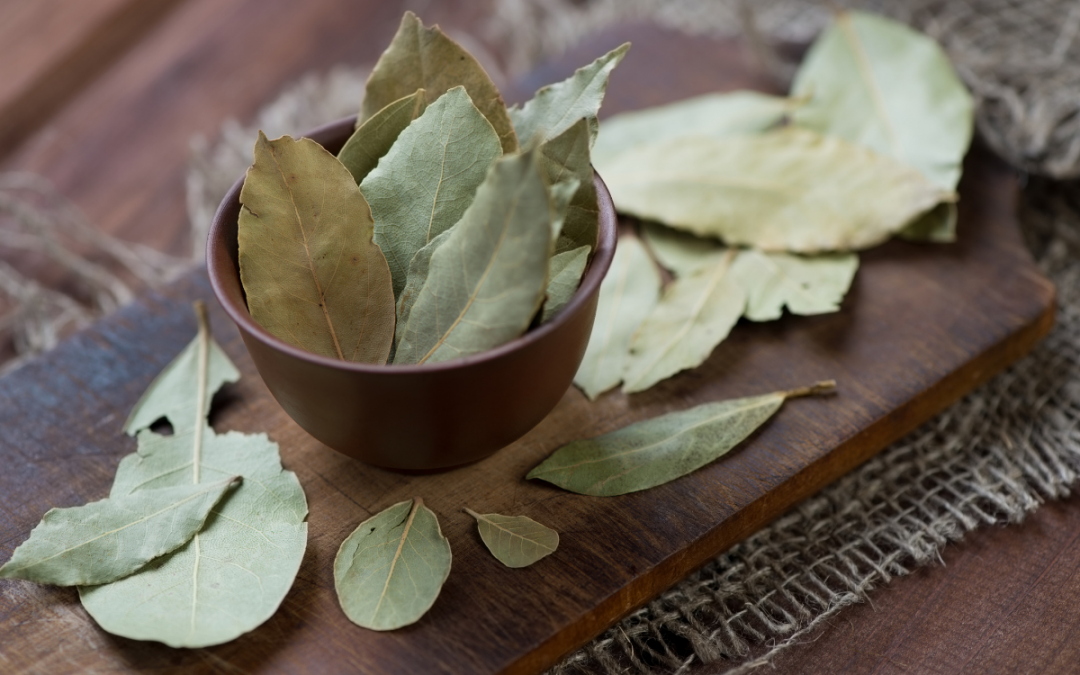 Лавровый лист