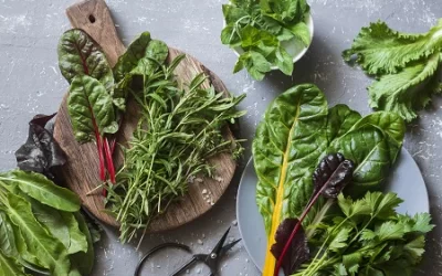 Зелень, овощи и Аюрведа